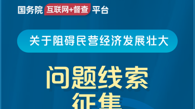 免费插插片国务院“互联网+督查”平台公开征集阻碍民营经济发展壮大问题线索